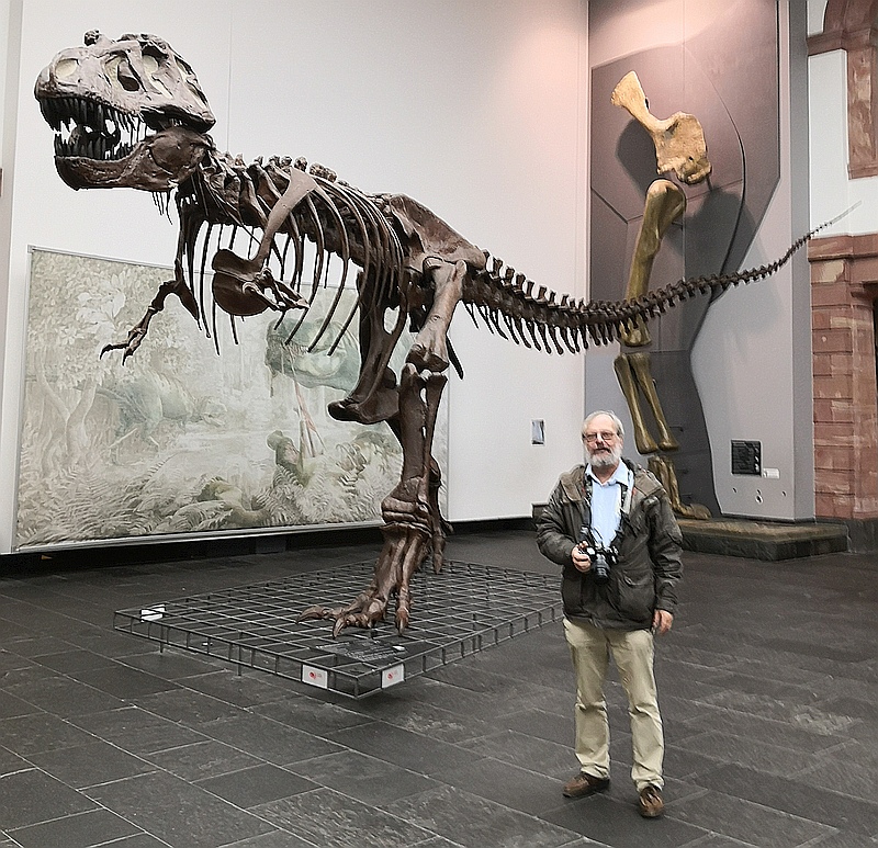 Frankfurt musée histoire naturelle