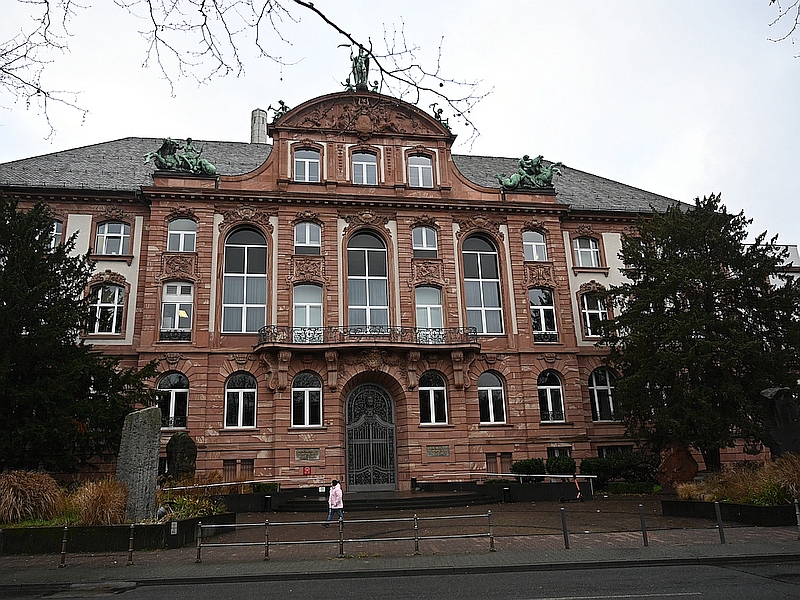 musée Senckenberg