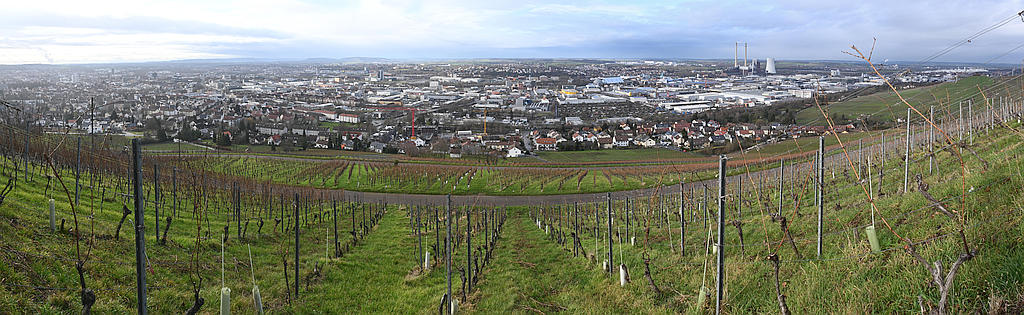 heilbronn vignoble