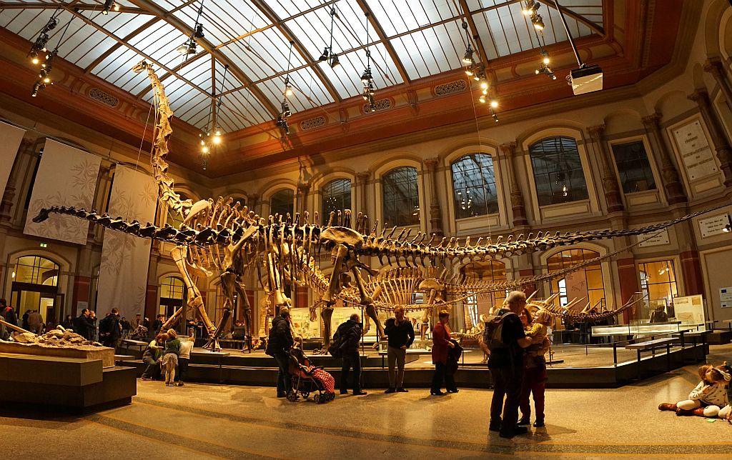 Musée Berlin Hall dinosaures