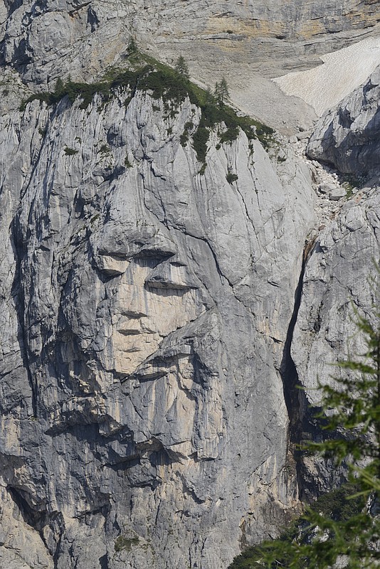 visage 200mm