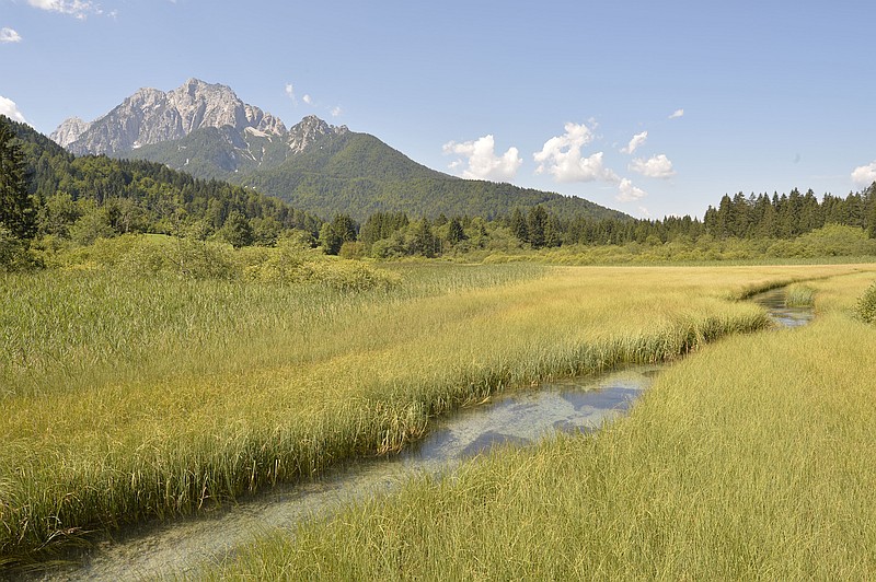 rivi&egrave;re Save dans le parc Zelenci