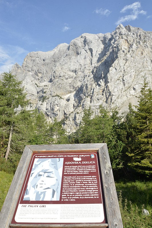 visage panneau