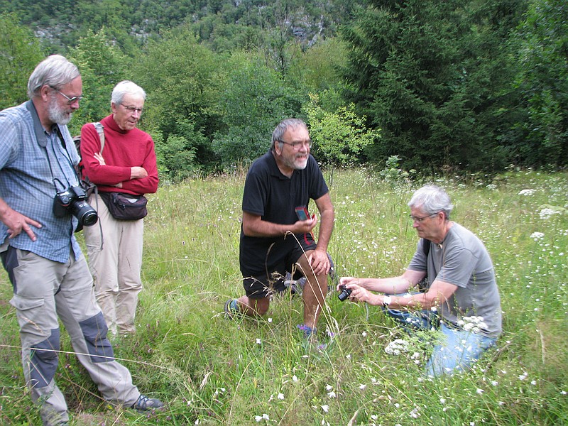 groupe par Dominique