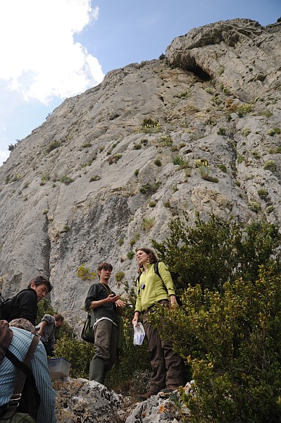 falaise dent de Rez