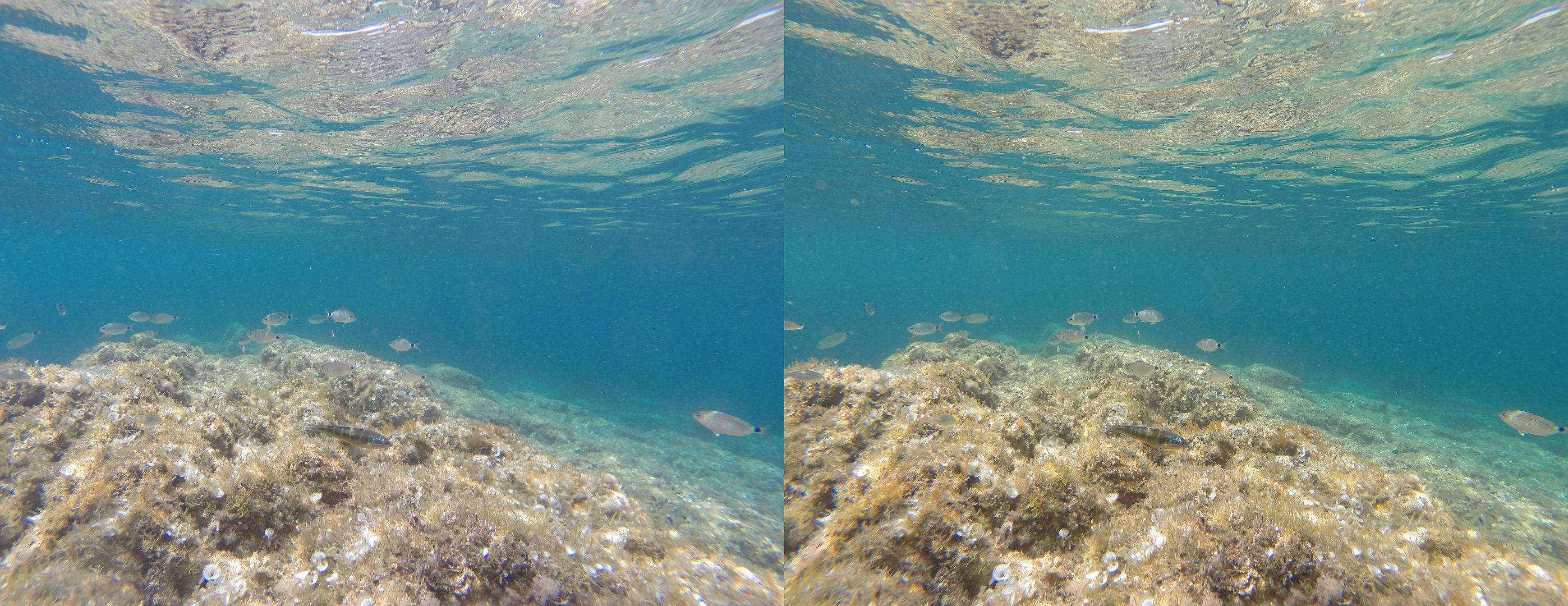 test gopro