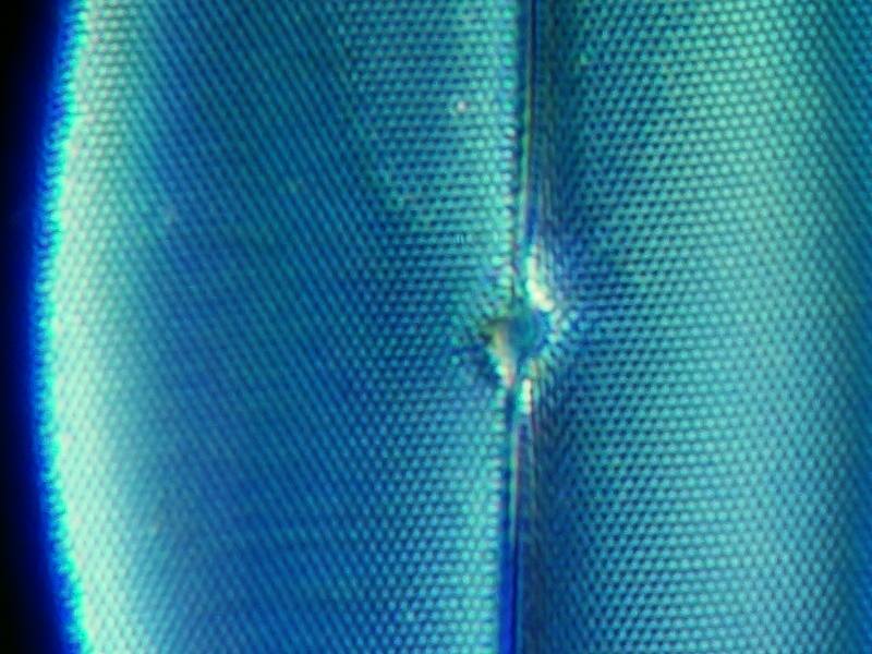 recadrage fond noir immersion 40x