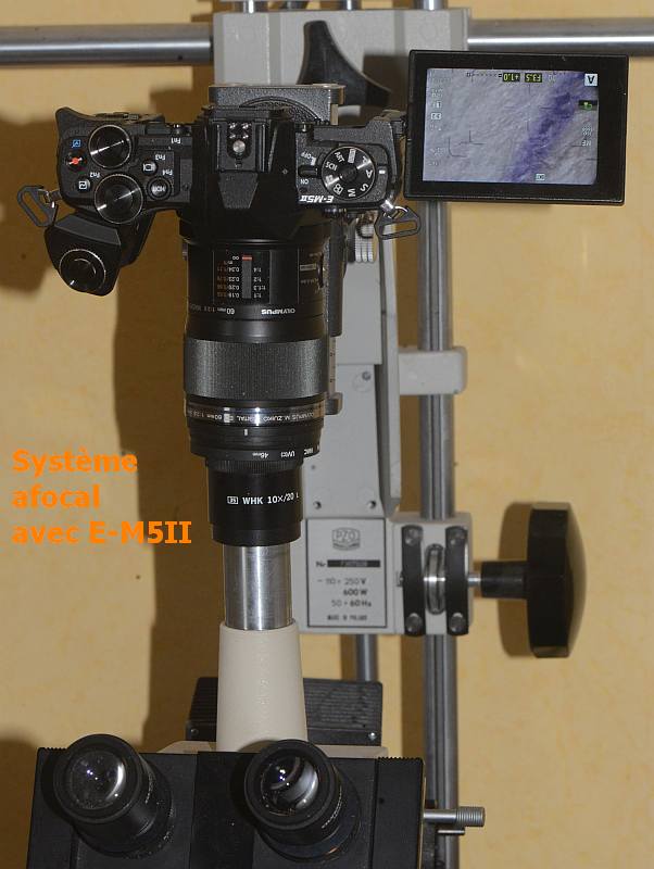 montage afocal Olympus E-M5II sur BH-2