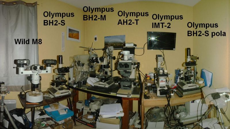 mon la bo microscopie 2018