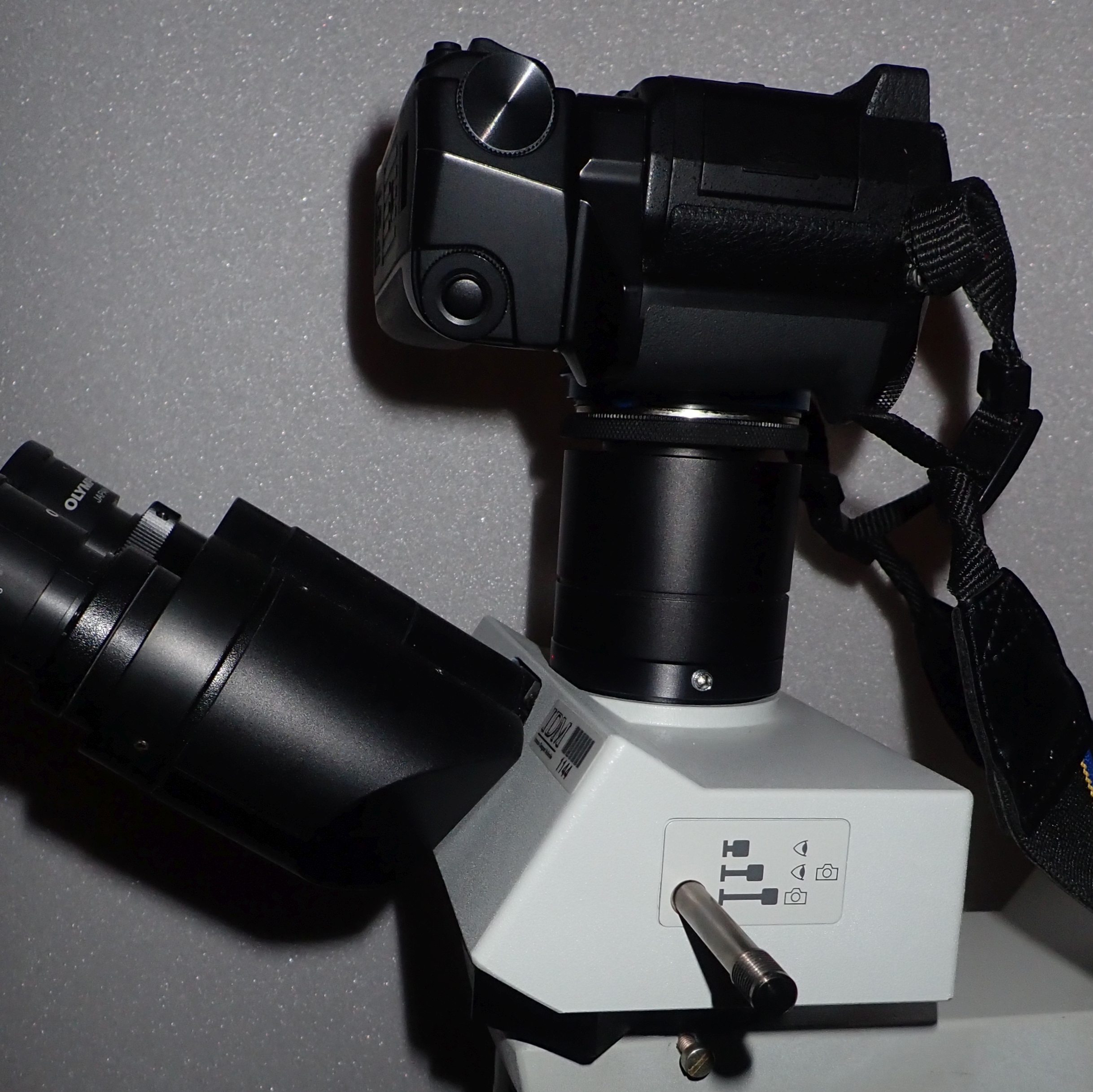 raccord photo hybride au foyer sur micro