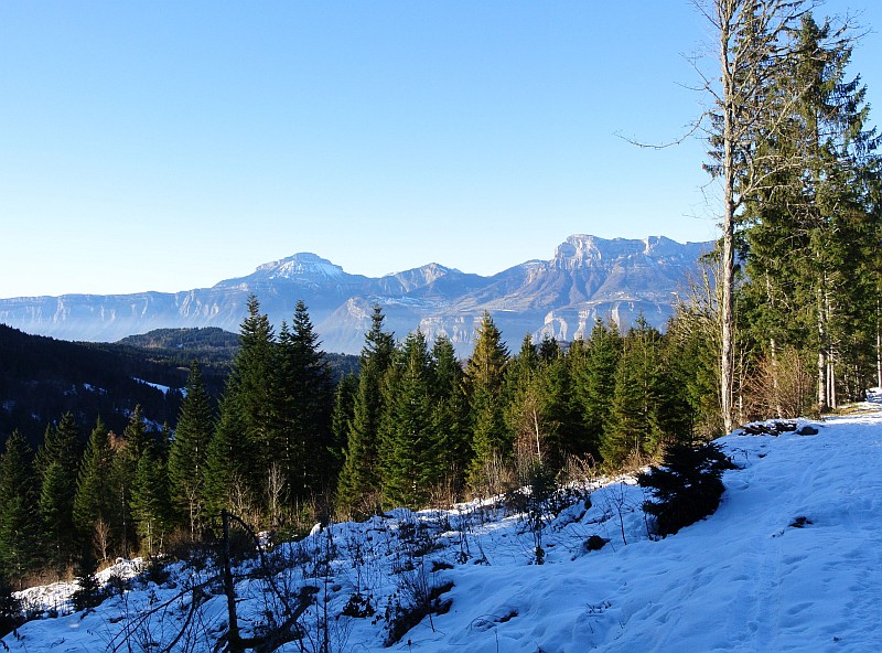 pano Chartreuse