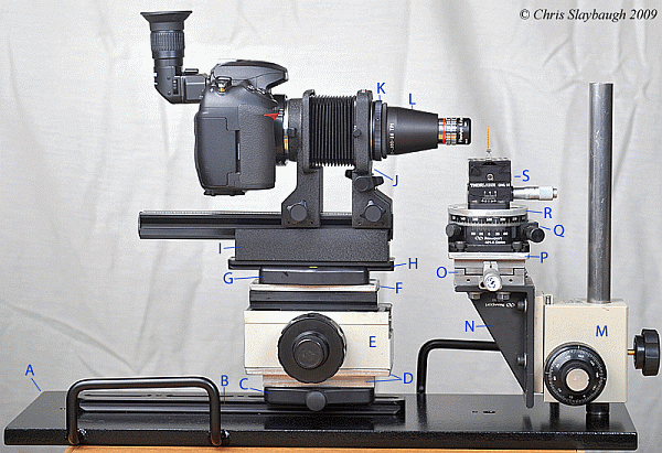 banc Chris Slaybaugh