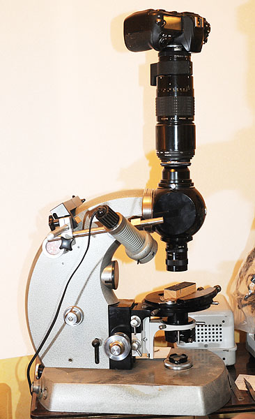 phomi avec zoom Luminar