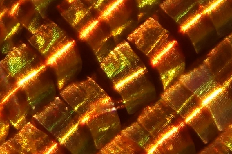 Mitu5x éclairage LED