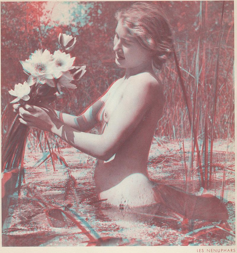 nnuphars Marcel Meys