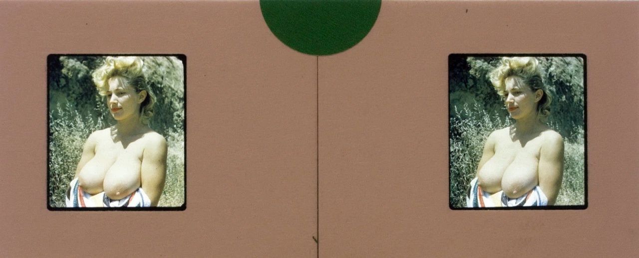 dia carton