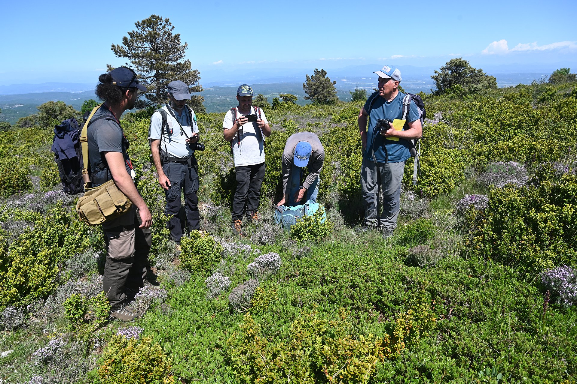botanistes devant raisin d'ours dent de Rez