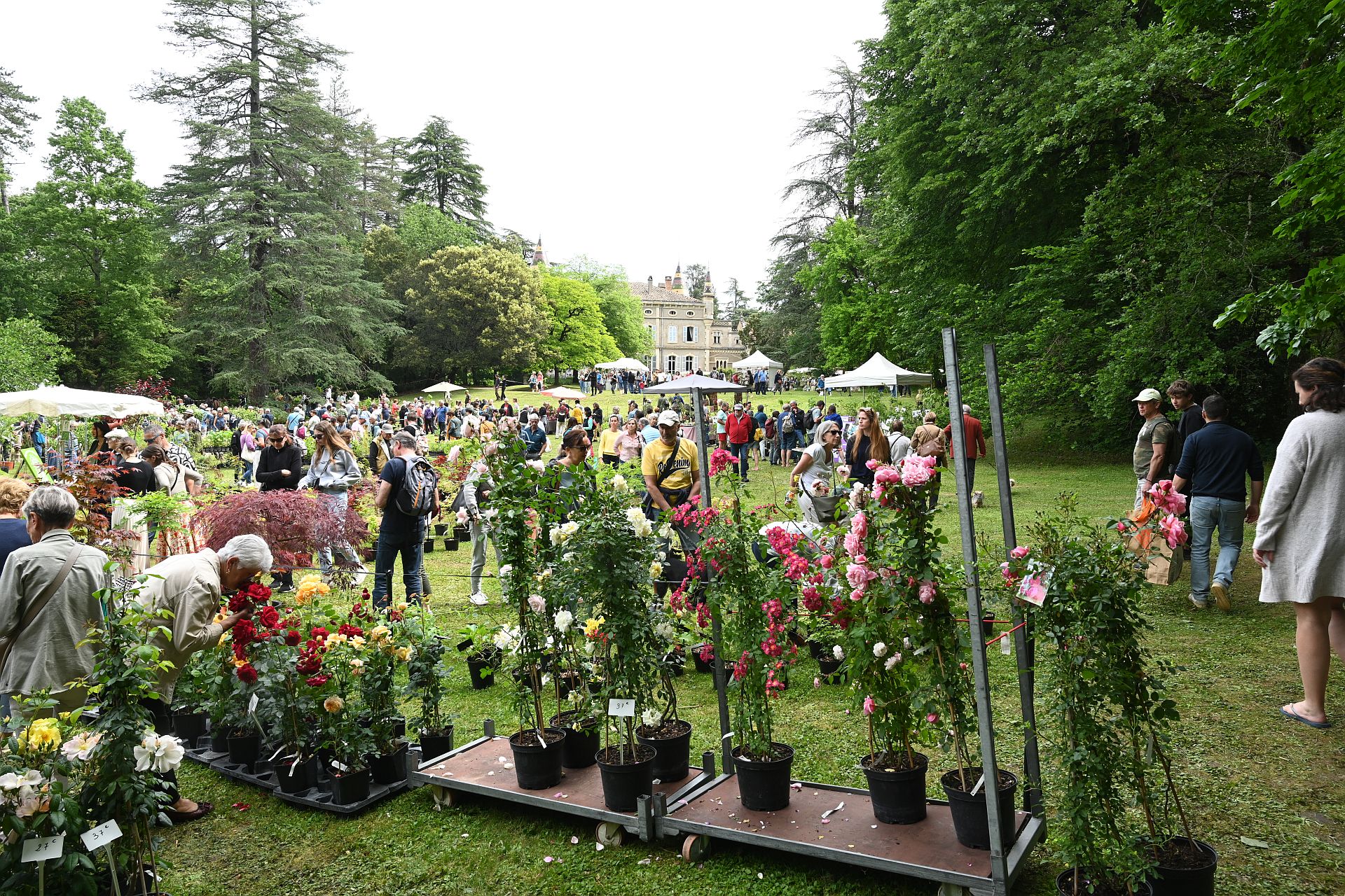 foire plantes Grospierre