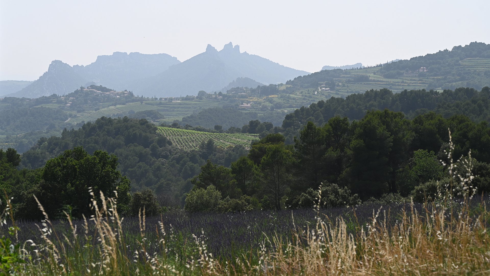 dentelles motmirail