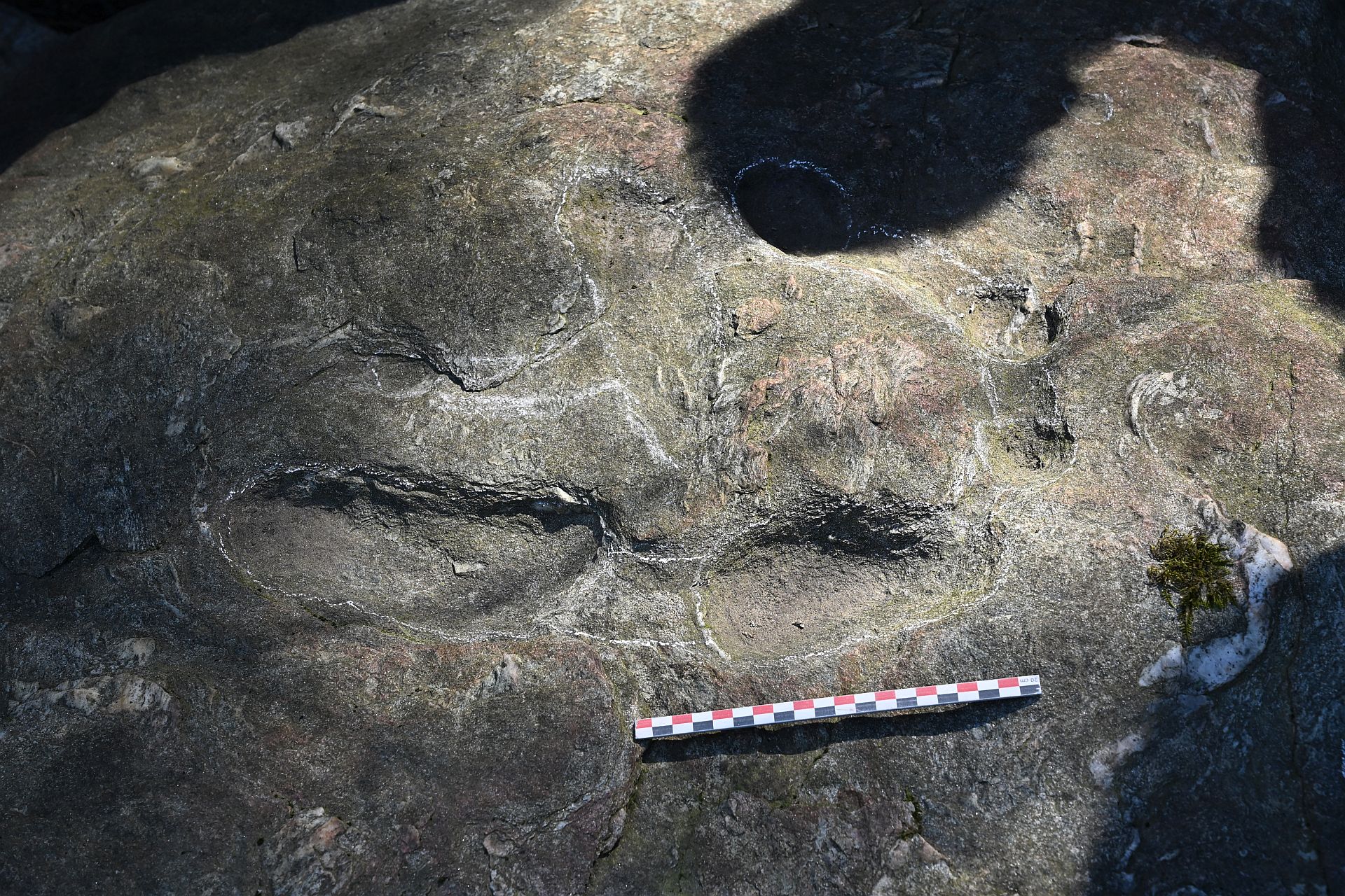 exploitations artisanales de pal�oplacers aurif�res